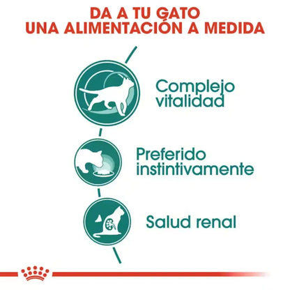Royal Canin Instinctive +7 85 g húmedo Salsa Fhn ROYAL CANIN