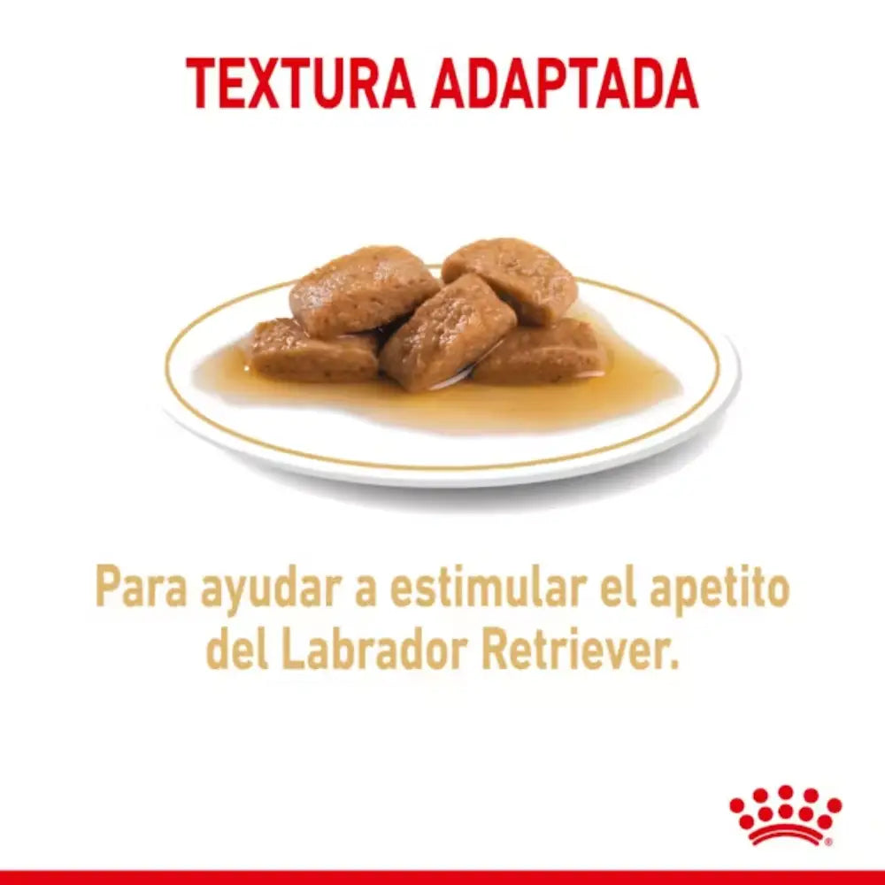 Royal Canin Labrador Adult 140 g húmedo ROYAL CANIN