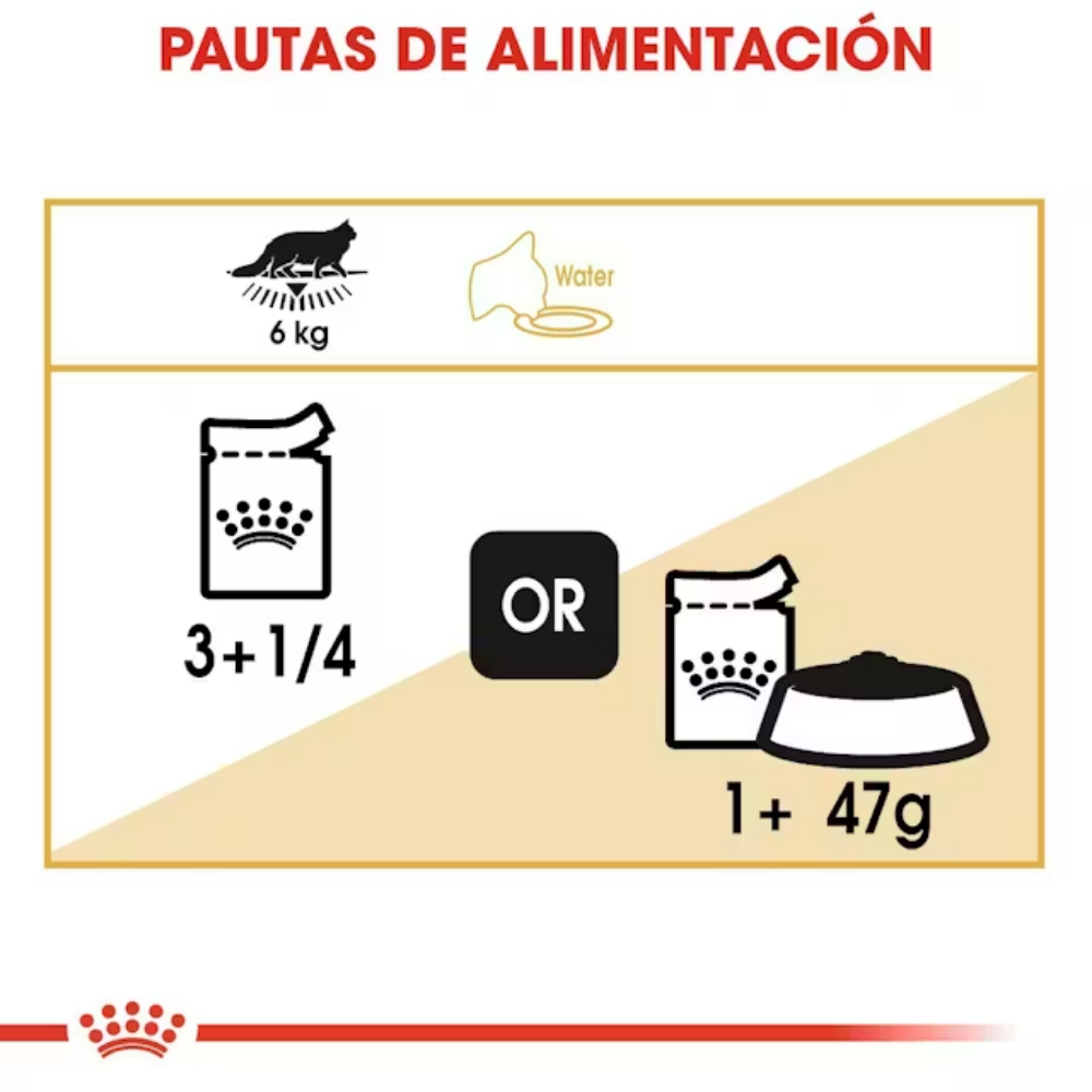Royal Canin Maine Coon 85 g Paté Húmedo para Gatos ROYAL CANIN Mascotas-Ávila