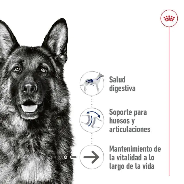 Royal Canin Maxi Ageing 410gr lata perro húmedo - Mejor Precio - Mascotas Ávila