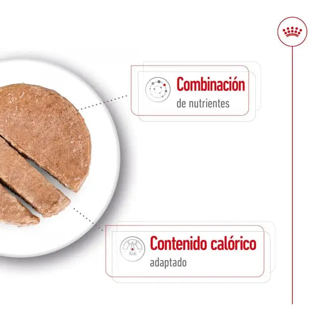 Royal Canin Mini Ageing 195gr Comida Húmeda para Perros Senior - Mejor Precio - Mascotas Ávila