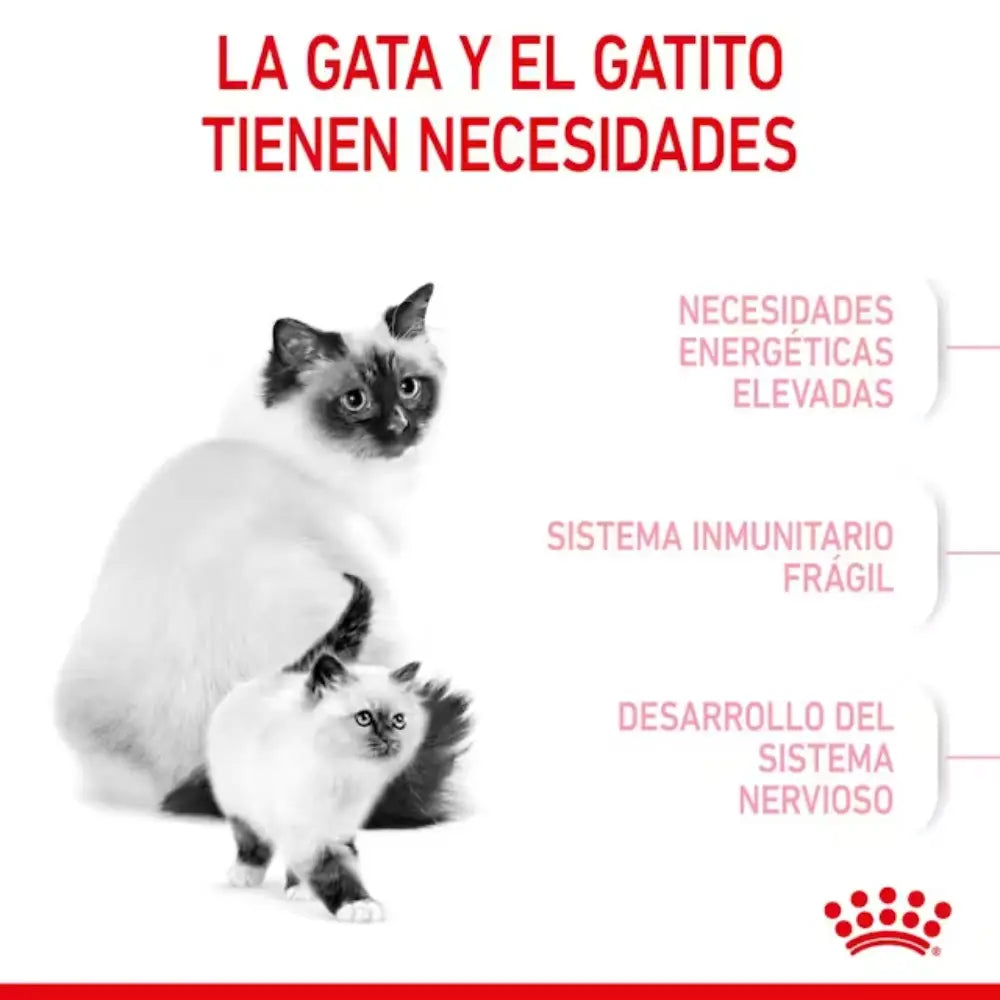 Royal Canin Mother And Babycat ROYAL CANIN