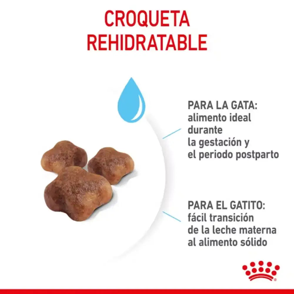 Royal Canin Mother And Babycat ROYAL CANIN