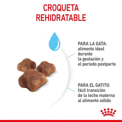 Royal Canin Mother And Babycat ROYAL CANIN
