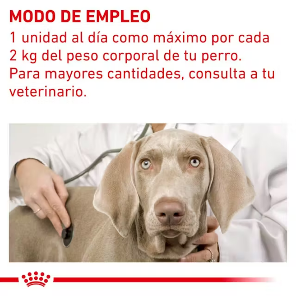 Royal Canin Pill Assist Small S Dog 90 g (Ayuda Para Pastillas) ROYAL CANIN VETERINARY Mascotas-Ávila