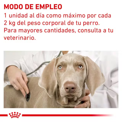 Royal Canin Pill Assist Small S Dog 90 g (Ayuda Para Pastillas) ROYAL CANIN VETERINARY Mascotas-Ávila