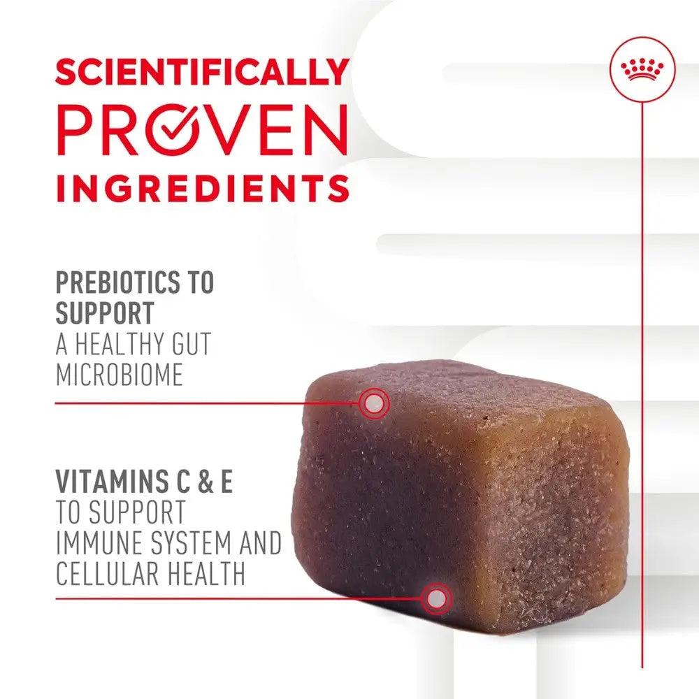 Royal Canin Immune & Digestion Support Chews Puppy 100 g Snack para Cachorros ROYAL CANIN