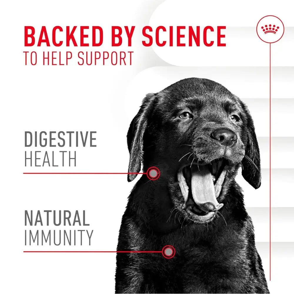 Royal Canin Immune & Digestion Support Chews Puppy 100 g Snack para Cachorros ROYAL CANIN