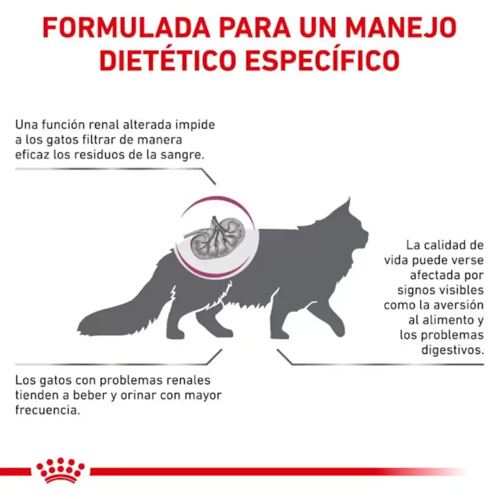 Royal Canin Renal Special 400 g Gato ROYAL CANIN VET