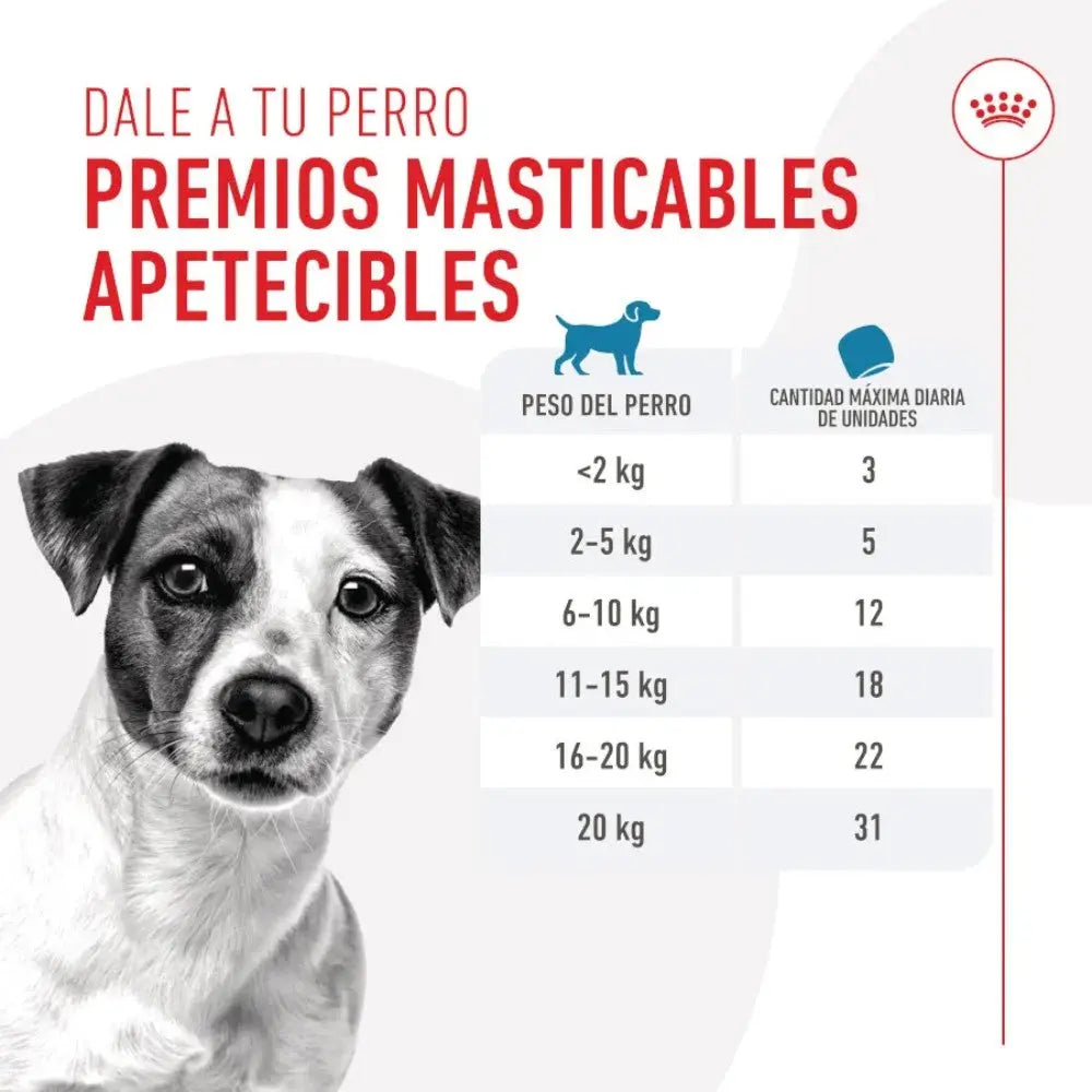 Royal Canin Training 110 g Snack Entrenamiento para Perros ROYAL CANIN
