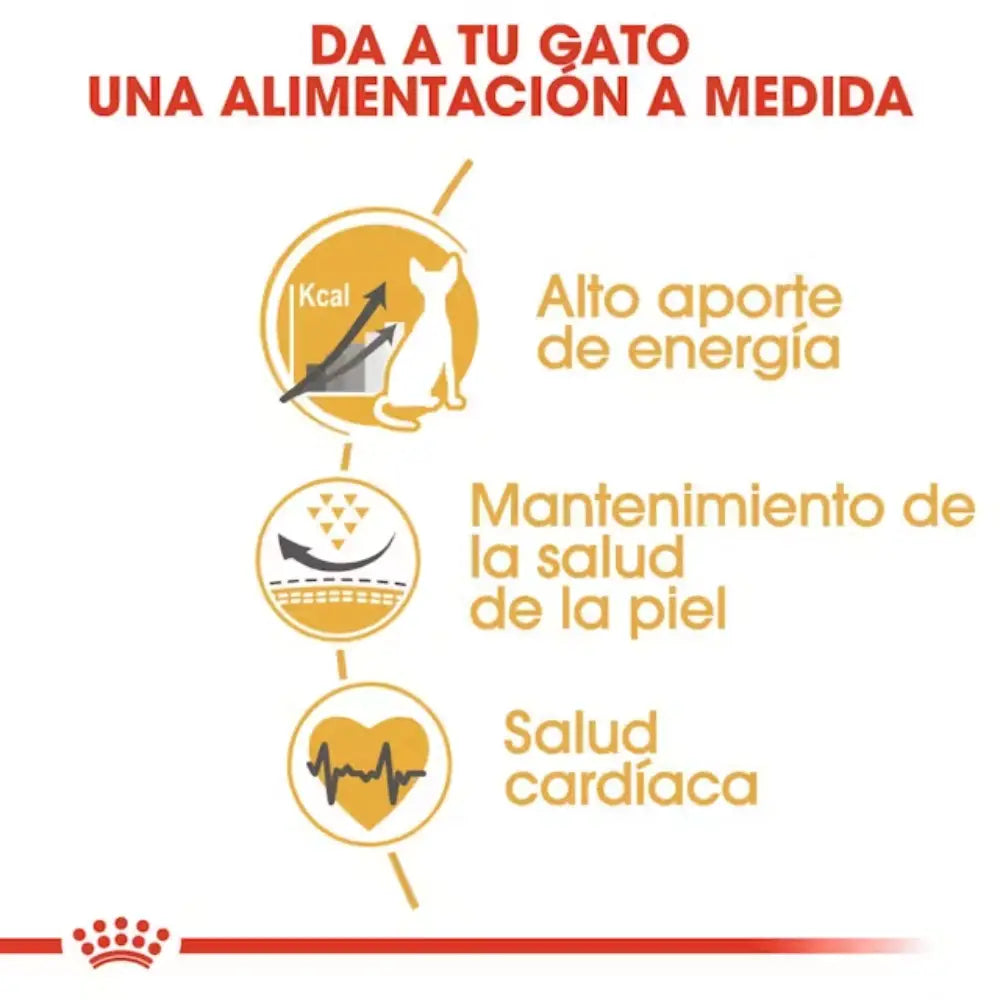 Royal Canin Sphynx 2 kg ROYAL CANIN