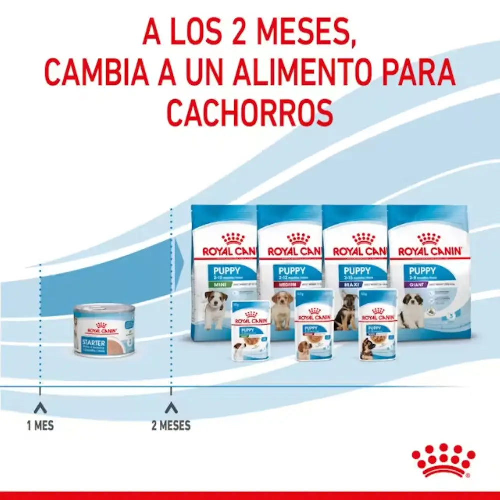 Royal Canin Starter Mousse Lata 195 g húmedo ROYAL CANIN