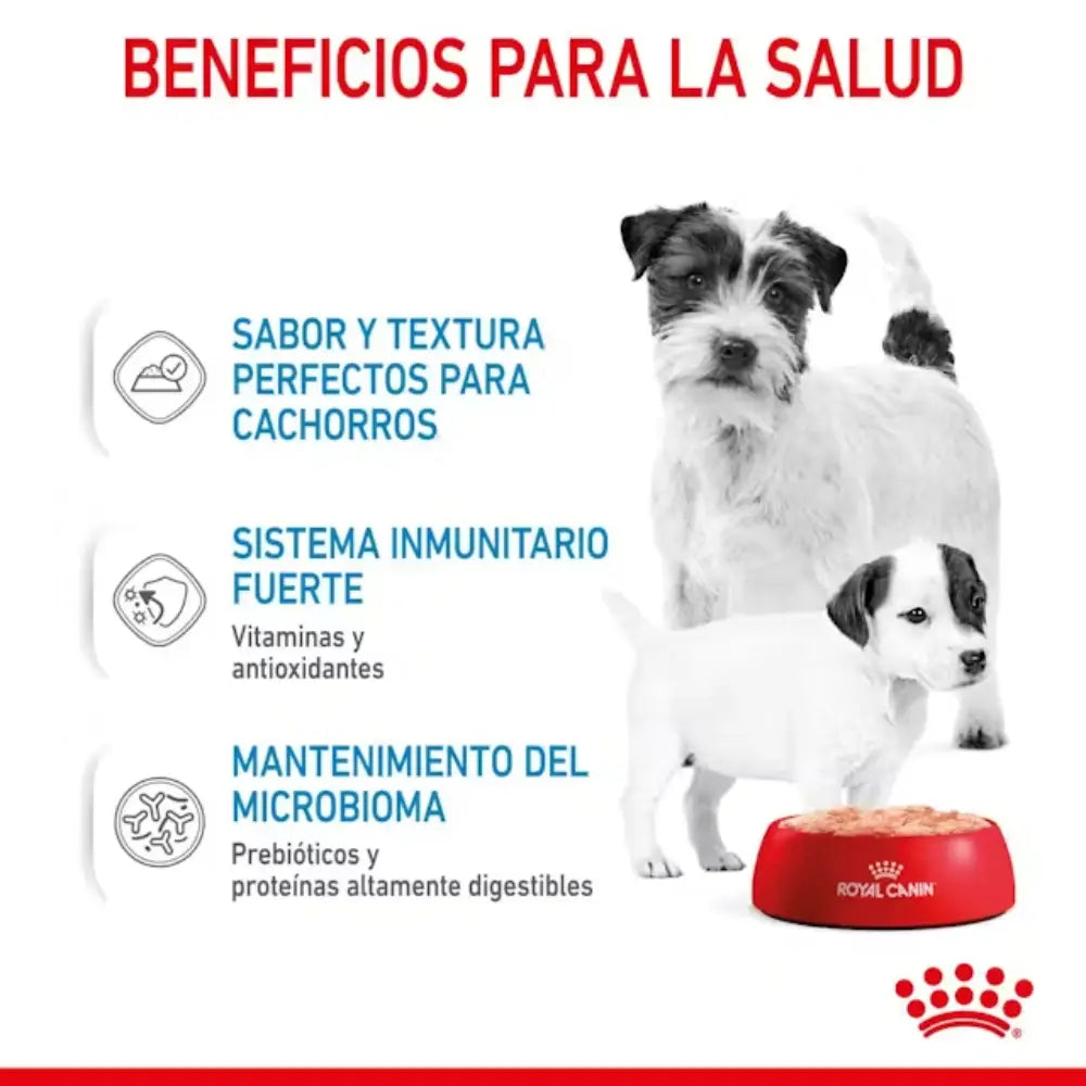 Royal Canin Starter Mousse Lata 195 g húmedo ROYAL CANIN