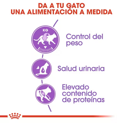 Royal Canin Sterilized 37 Pienso para Gatos Esterilizados ROYAL CANIN Mascotas-Ávila
