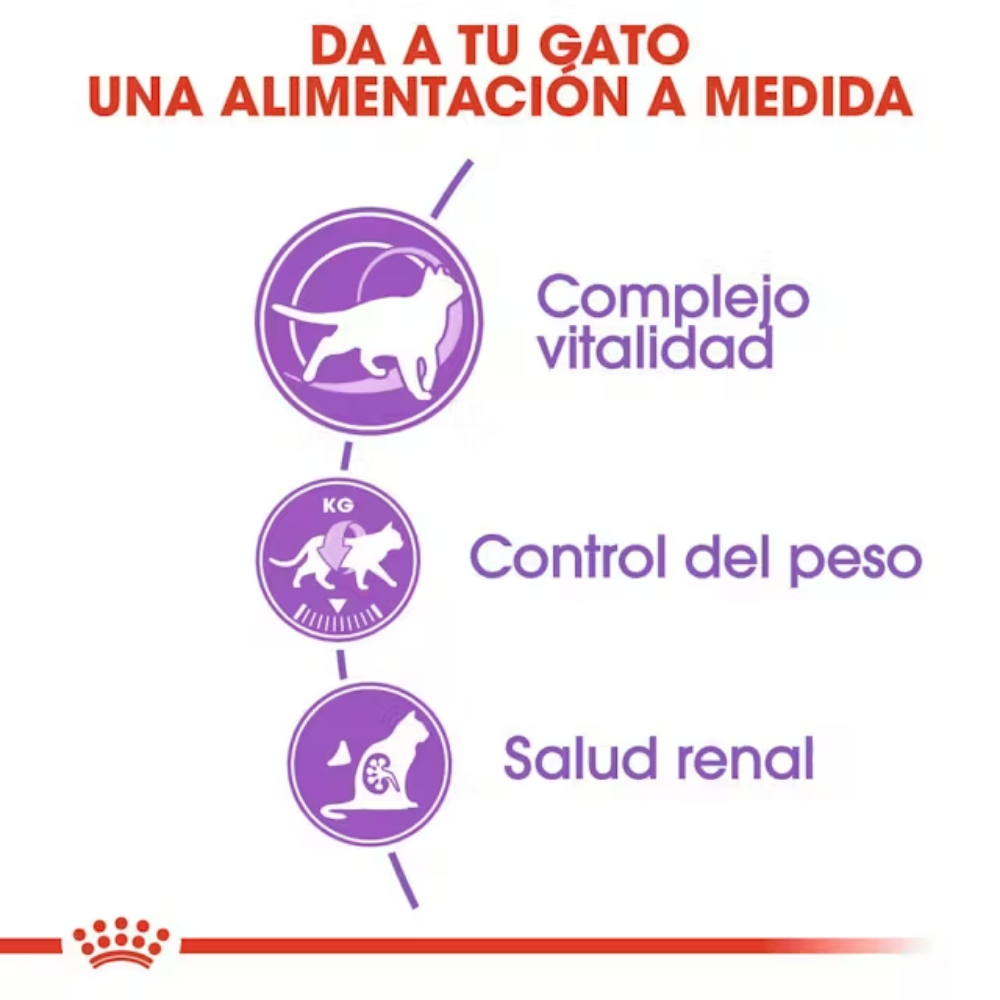 Royal Canin Sterilized 7+ Pienso para Gatos Esterlizados ROYAL CANIN Mascotas-Ávila