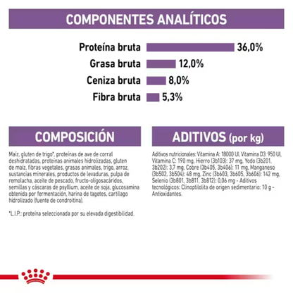 Royal Canin Sterilized 7+ Pienso para Gatos Esterlizados ROYAL CANIN Mascotas-Ávila