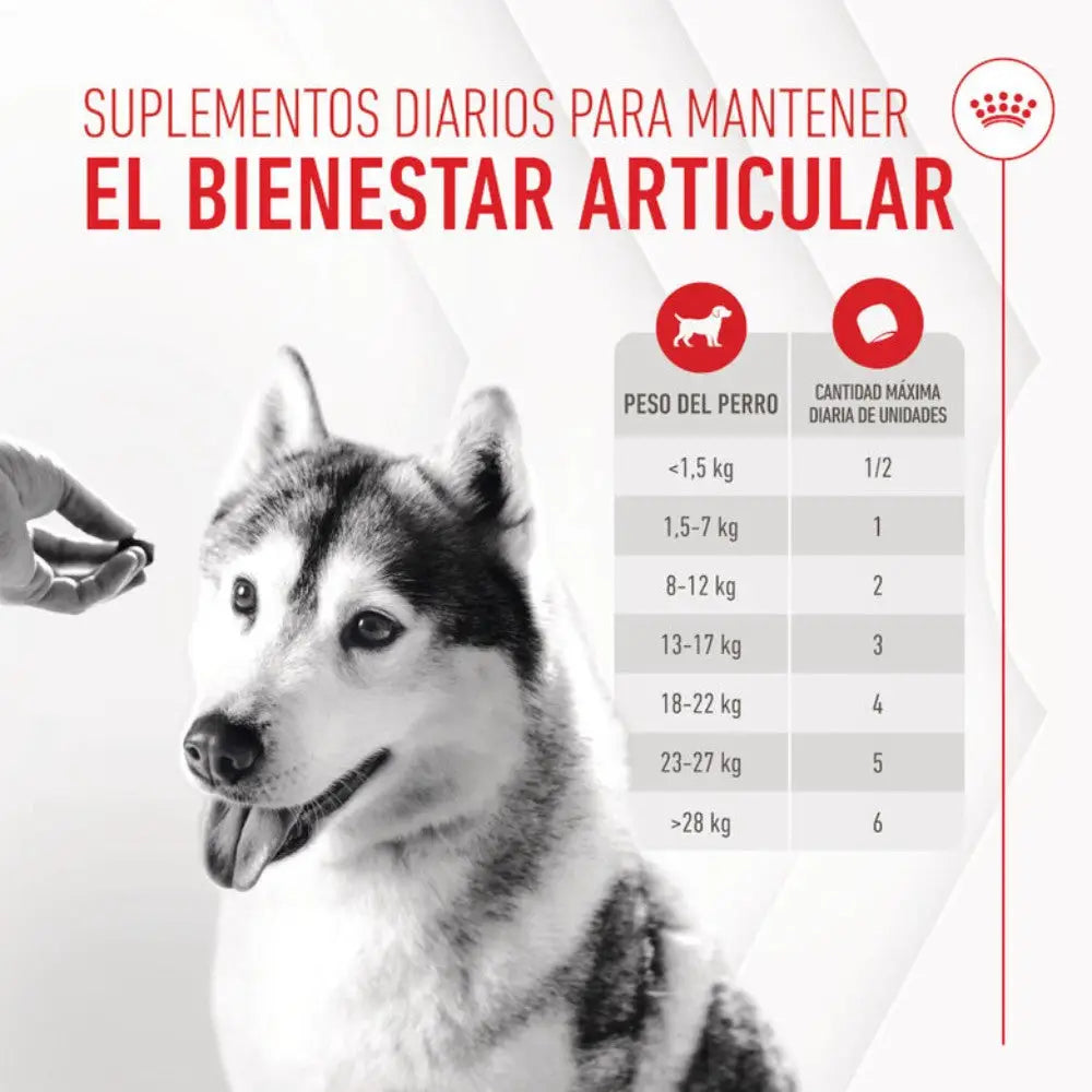 Royal Canin Adult Joint & Ageing 240 g Suplemento para Perros Adultos ROYAL CANIN