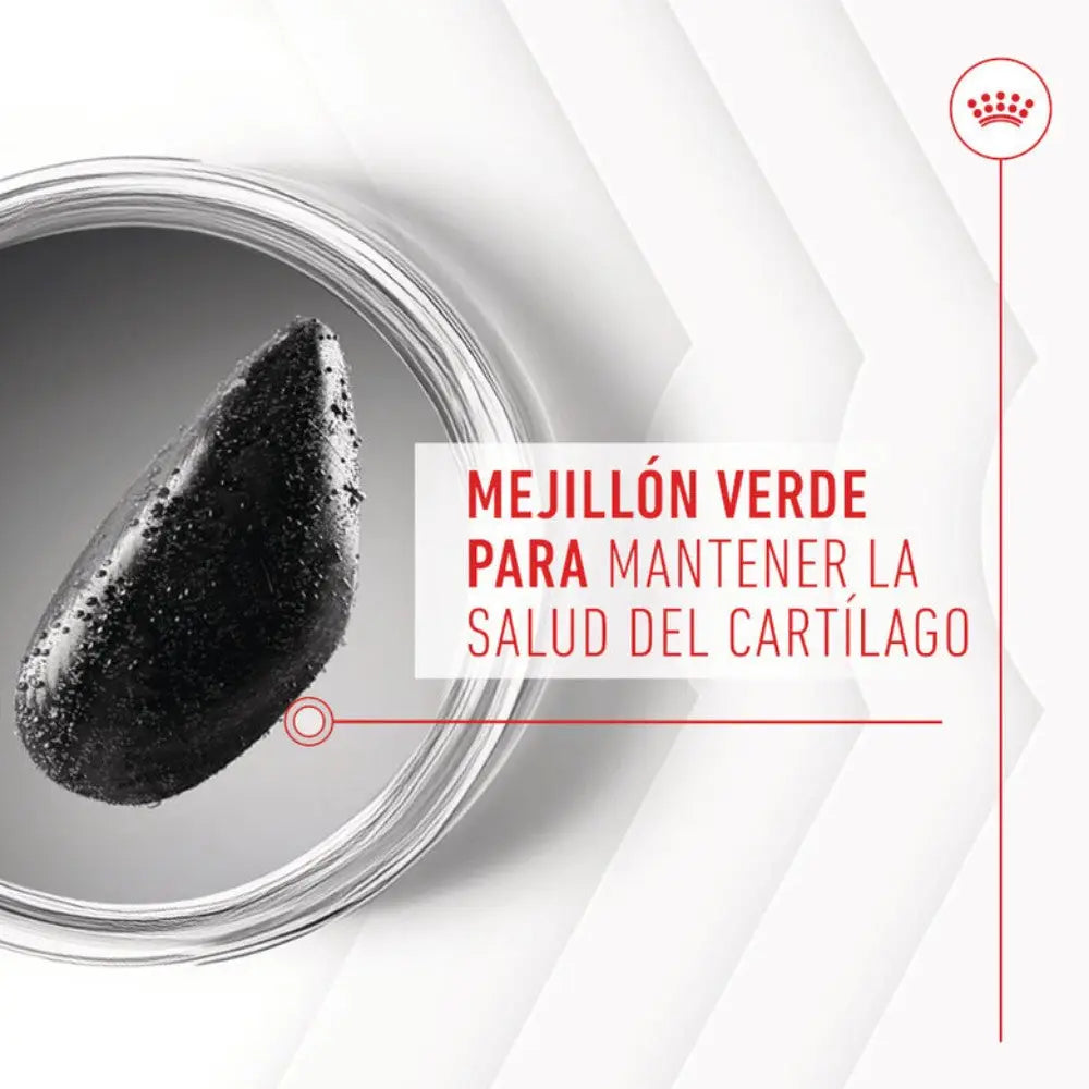 Royal Canin Adult Joint & Ageing 240 g Suplemento para Perros Adultos ROYAL CANIN