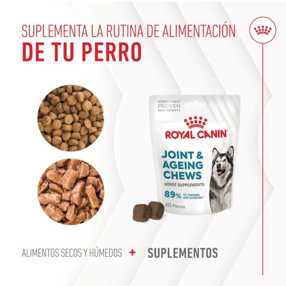 Royal Canin Adult Joint & Ageing 240 g Suplemento para Perros Adultos ROYAL CANIN