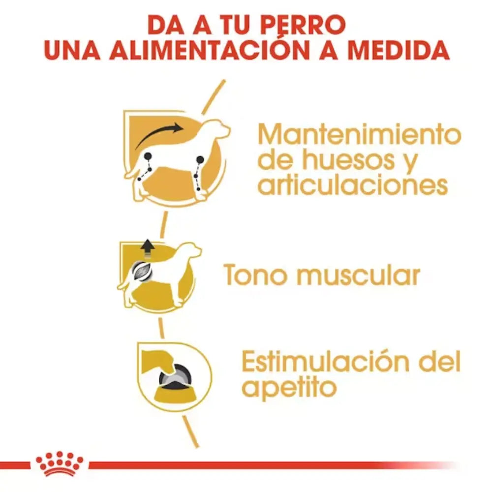 Royal Canin Teckel Dachsh uds 85 g húmedo ROYAL CANIN