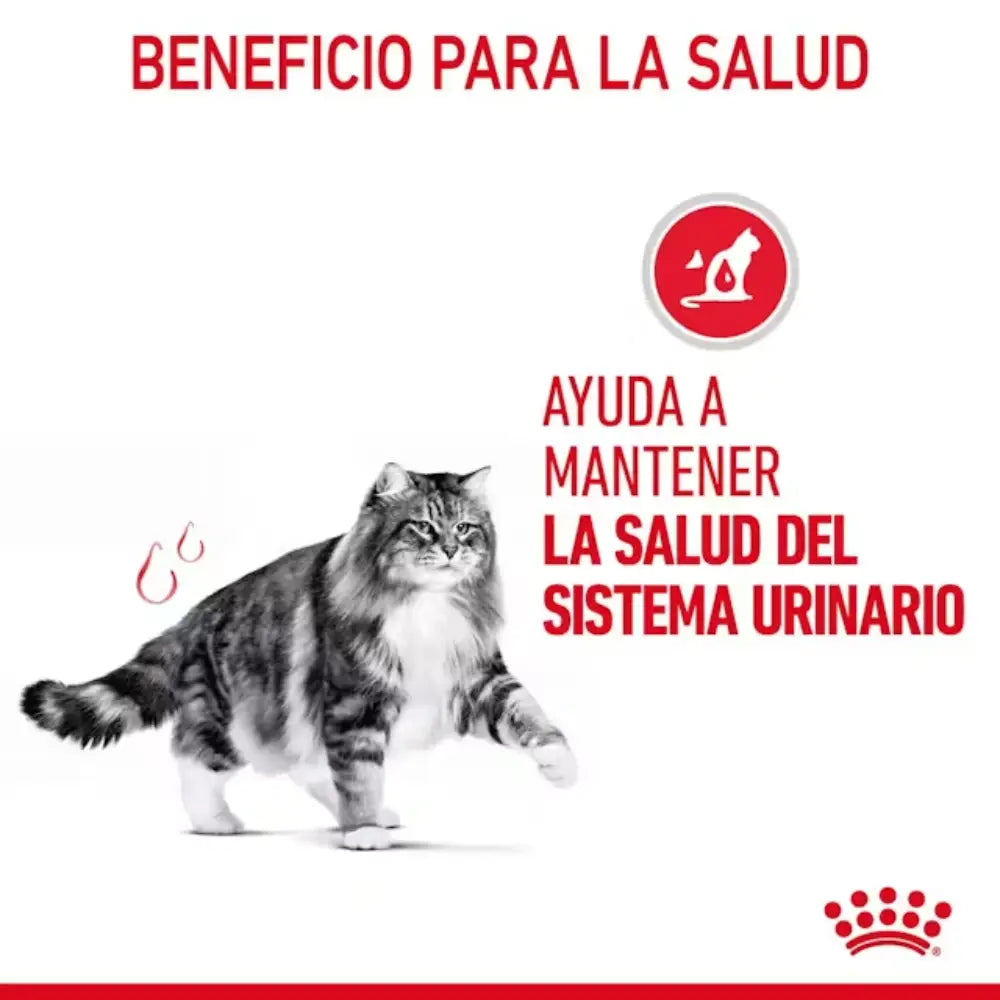 Royal Canin Urinary Care Gatos ROYAL CANIN
