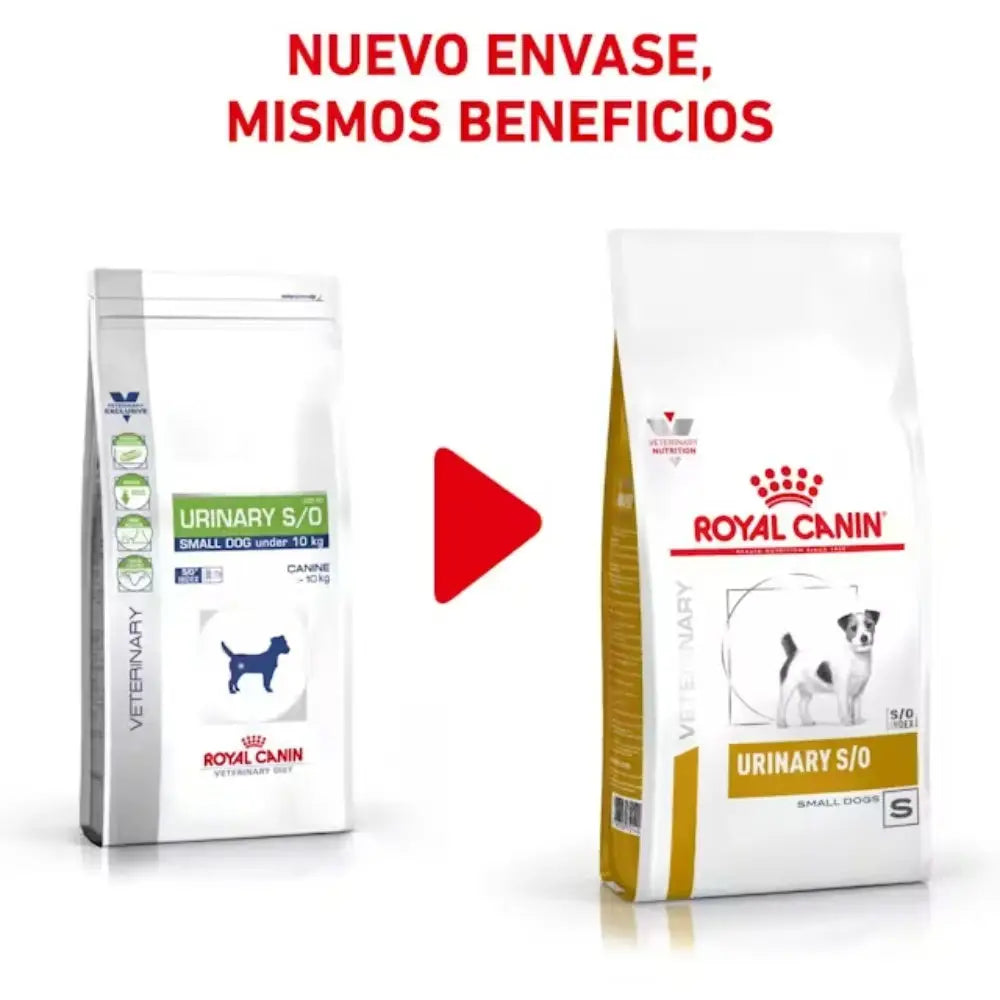 Royal Canin Urinary Small S/O 1.5 kg Pienso Urinario para Perros ROYAL CANIN VET