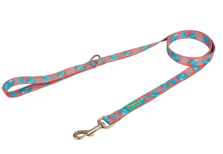 Freedog Summer Correa Coral Palm 20Mm X 120Cm T-M - Mejor Precio - Mascotas Ávila