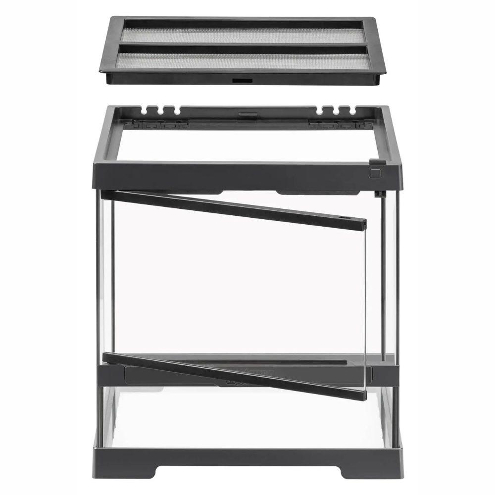 Terrario Mini Exo Terra EXOTERRA Mascotas-Ávila