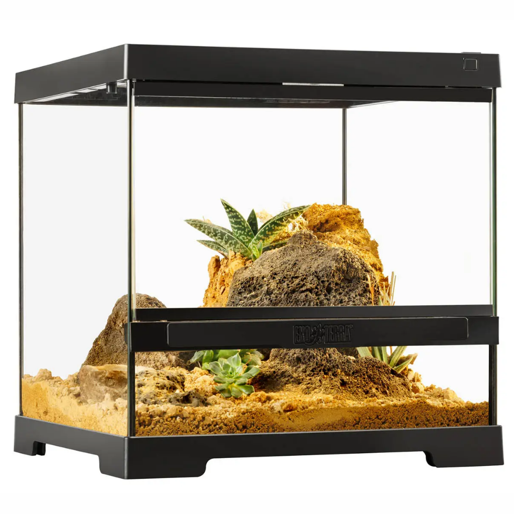 Terrario Mini Exo Terra EXOTERRA Mascotas-Ávila