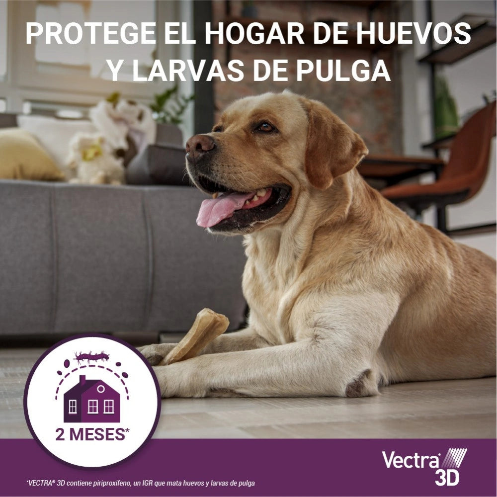 Vectra 3D Pipetas Antiparasitarias para Perros Pack 3 uds