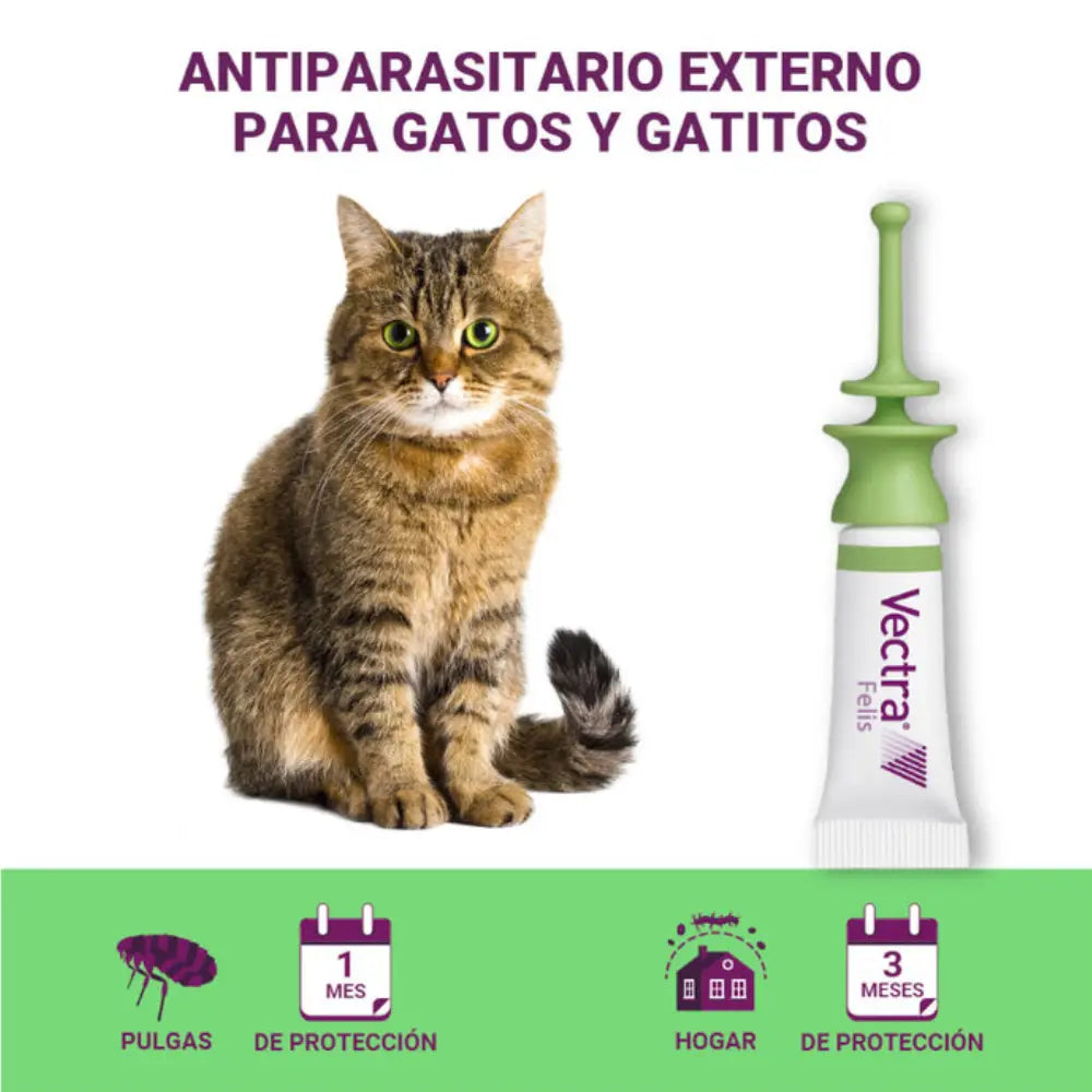 Vectra Gato 0,6-10 kg 3 Pipetas Antiparasitarias para Gatos CEVA