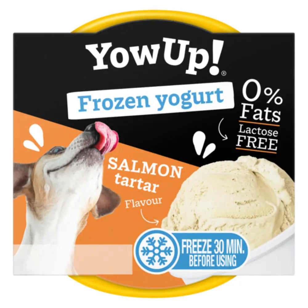 Yowup Helado Yogurt Tartar Salmón 110 g YOWUP