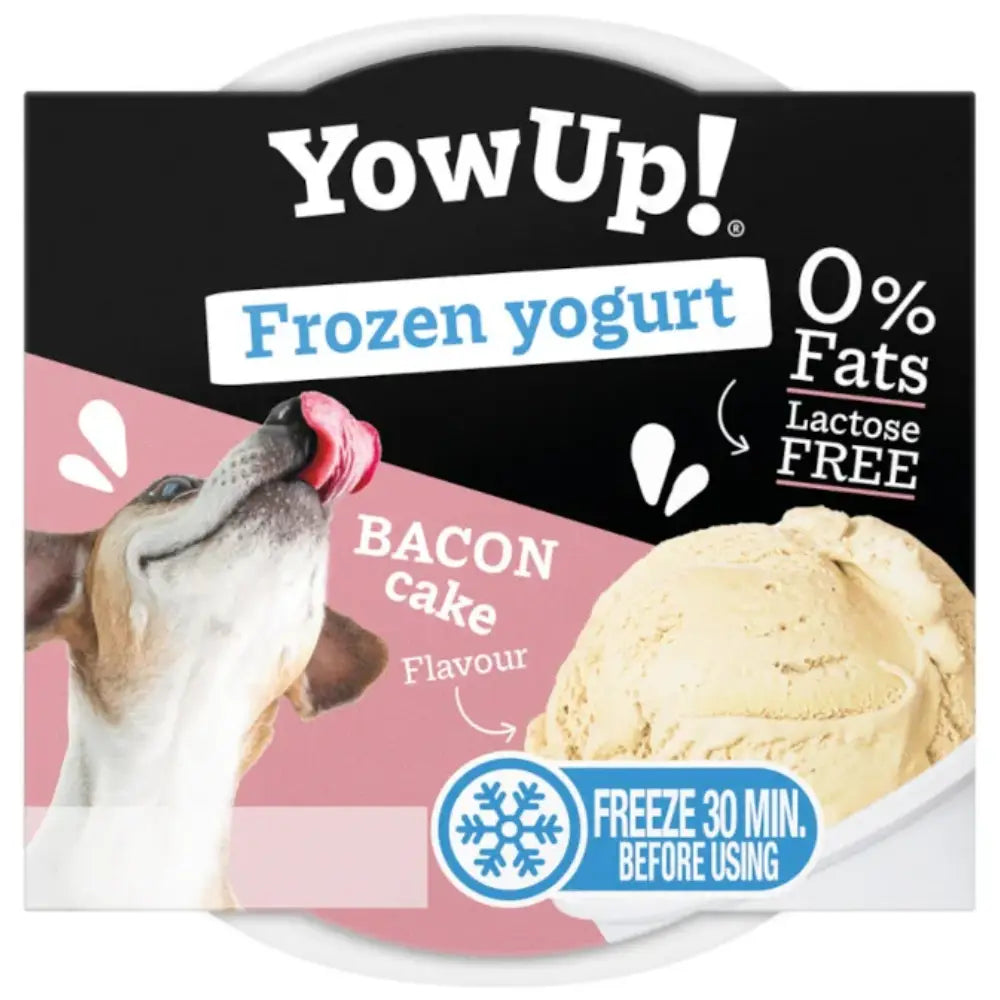 Yowup Helado Yogurt Tarta Bacon 110 g YOWUP