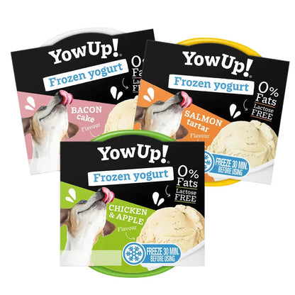 Yowup Helado Yogurt Pollo/Manzana 110 g YOWUP