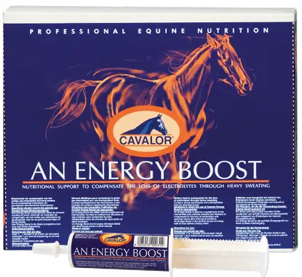 AN ENERGY BOOSTER CAVALOR JERINGA 60CC (ELECTROLITOS)