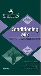 SHINE + CONDITIONING MIX 20K SPILLERS