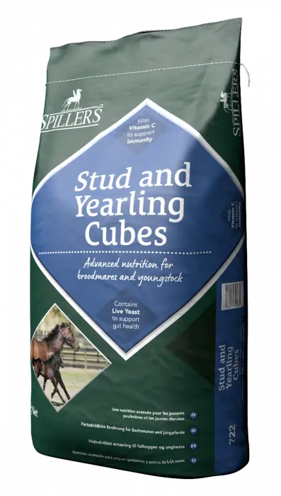 Stud Cubes Spillers 20 Kg