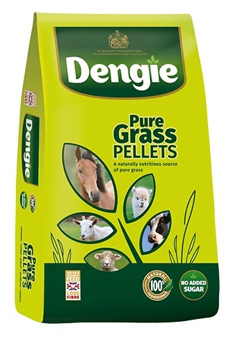 Grass Pellets Dengie 20 Kg
