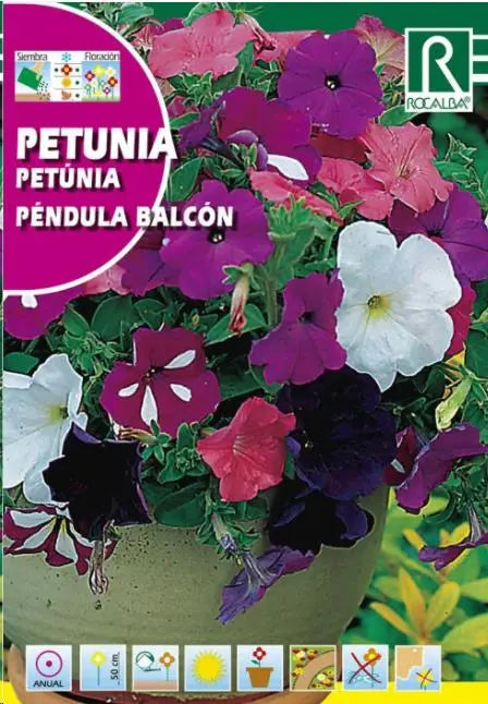 PETUNIA PENDULA BALCON, VARIADA