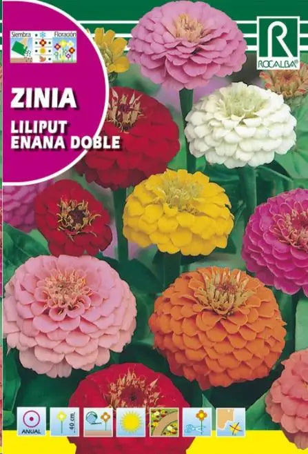 ZINIA LILIPUT ENANA DOBLE, VARIADA