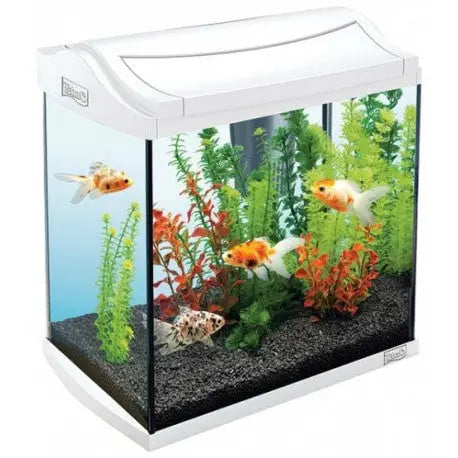 ACUARIO TETRA AQUAART LED EXPLORER LINE 30 BLANCO