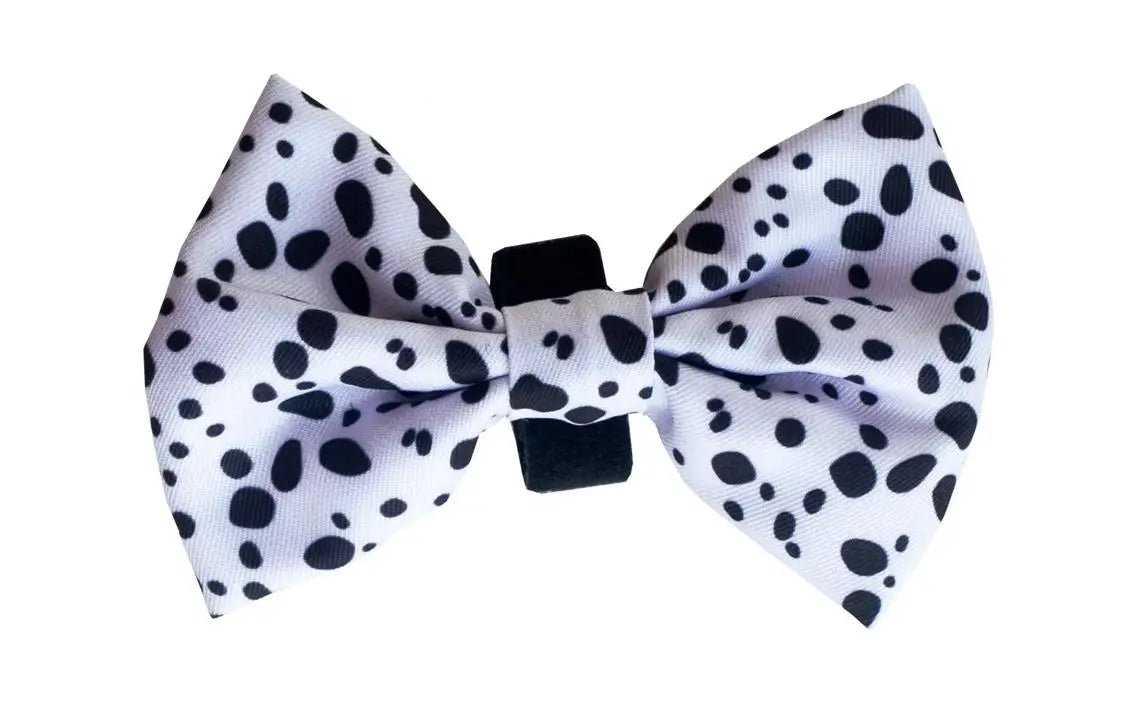 DUKIER PAJARITA DALMATIAN S