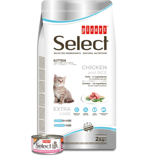 PICART SELECT CAT KITTEN