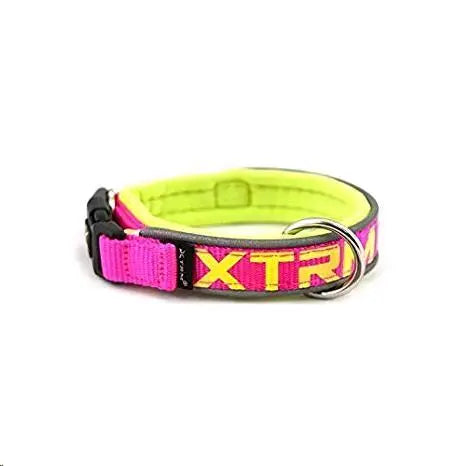 COLLAR X-TRM NEON FLASH LIMON 38MMX50-70CM