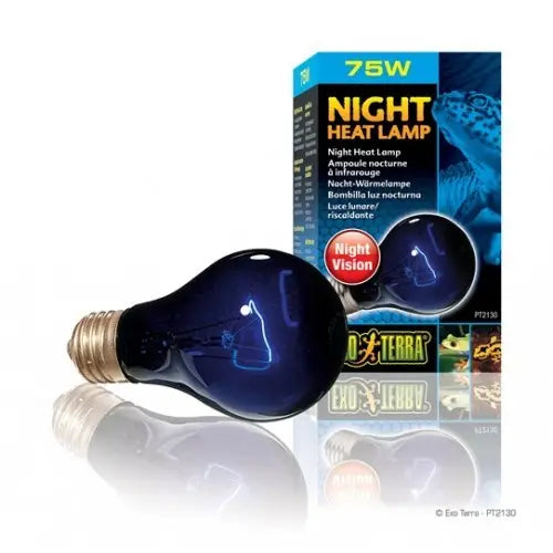 EXO TERRA NIGHT GLO LµMPARA INCANDESCENTE 75 W