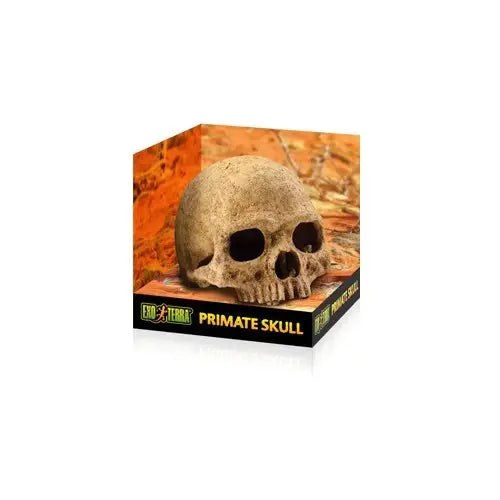 EXO TERRA PRIMATE SKULL