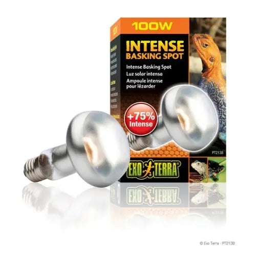EXO TERRA SUN GLO FOCO DIRECTO  100 W