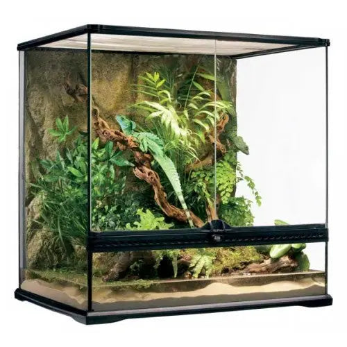 EXO TERRA TERRARIO MED.162 L Tall 60X45X60 cm