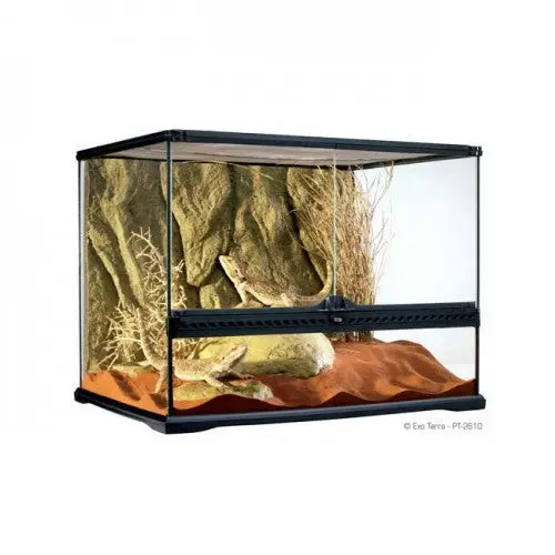 EXO TERRA TERRARIO MED.121 L Wide 60X45X45 CM