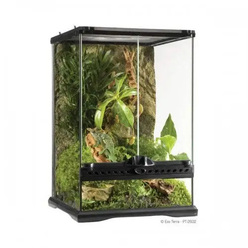 EXO TERRA TERRARIO MINI 40,5 L Tall  30X30X45 CM